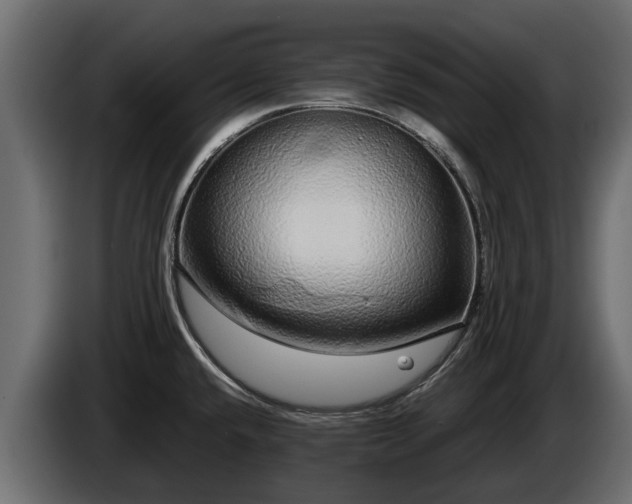 X0000085781432200703231235