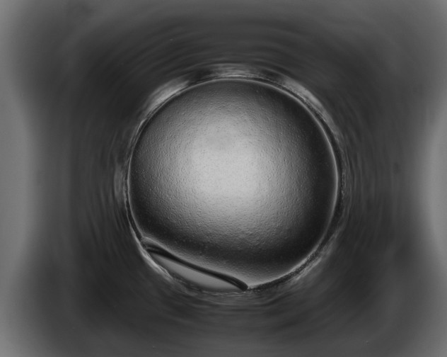 X0000085781433200703231236