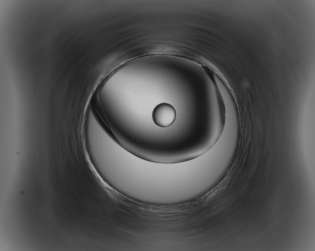 X0000085781434200703231236