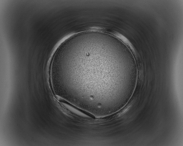 X0000085781435200703231236