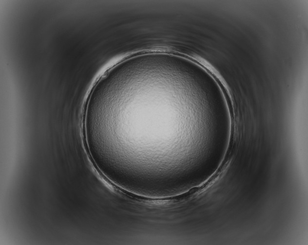 X0000085781437200703231236