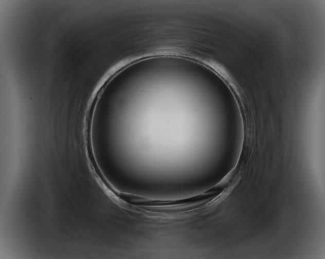 X0000085781438200703231236