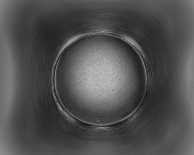 X0000085781439200703231236