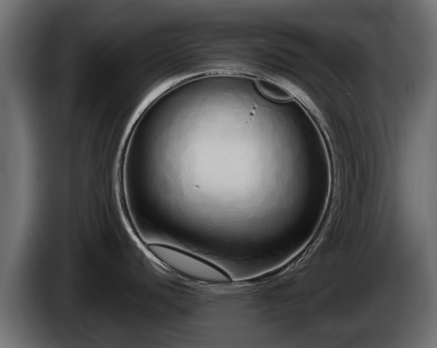 X0000085781440200703231236