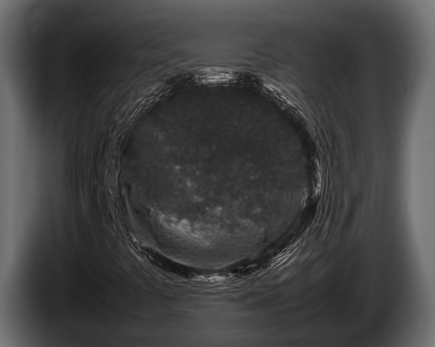 X0000085781441200703231235