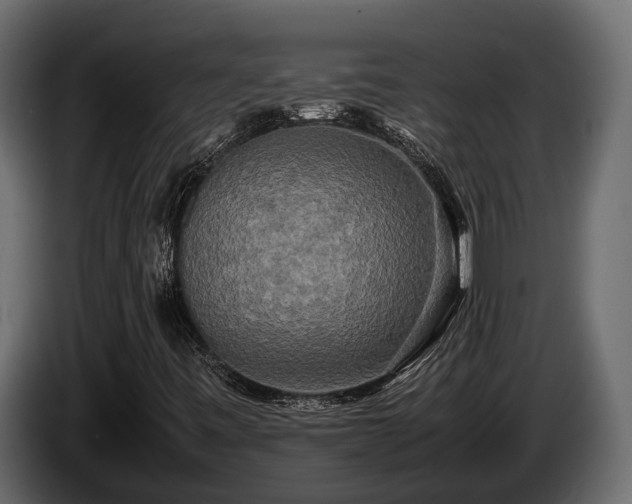 X0000085781443200703231235