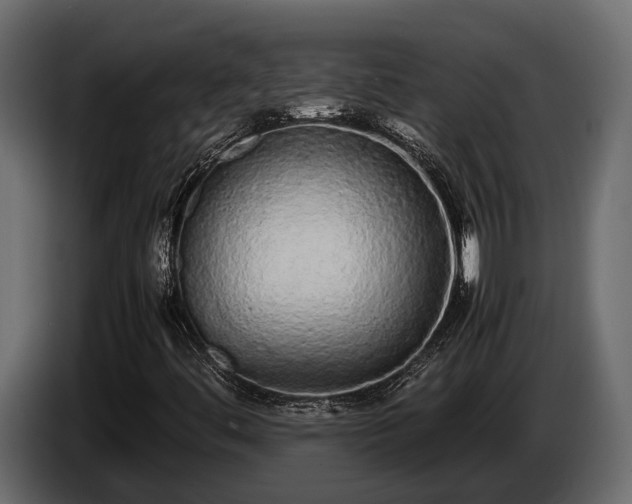 X0000085781444200703231235