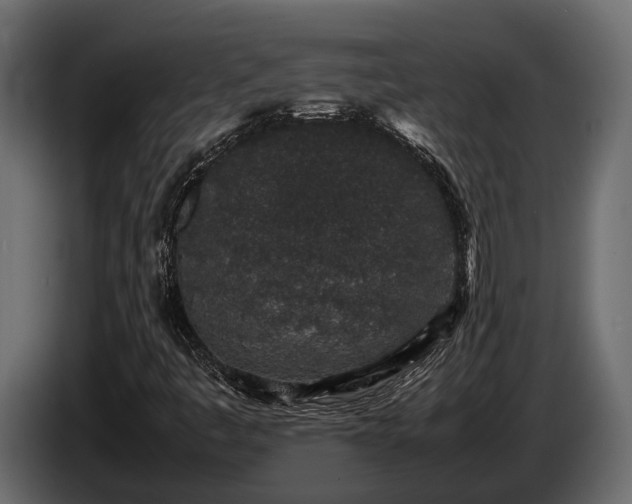 X0000085781445200703231235