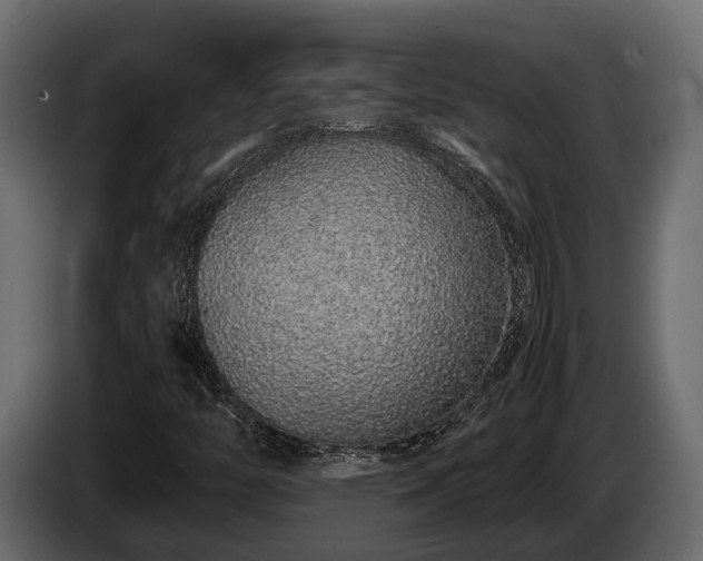 X0000085781446200703231235