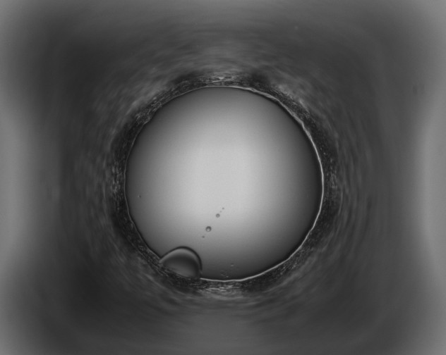 X0000085781447200703231235