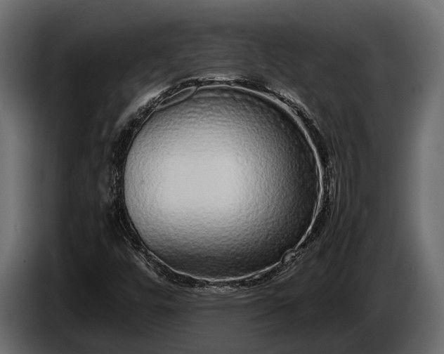 X0000085781448200703231235