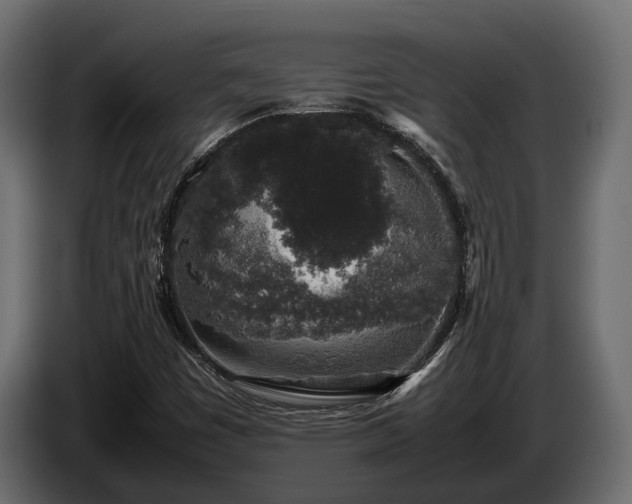 X0000085781449200703231235