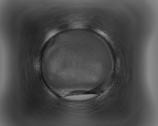 X0000085781450200703231235