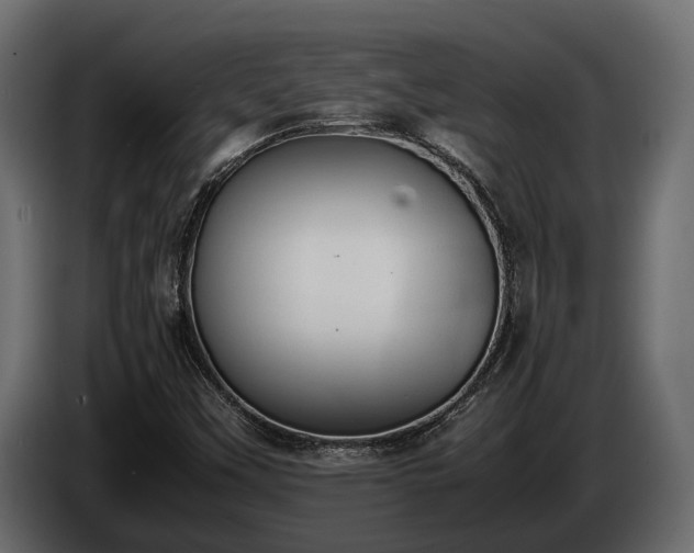 X0000085781451200703231235