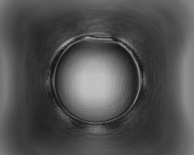 X0000085781452200703231235