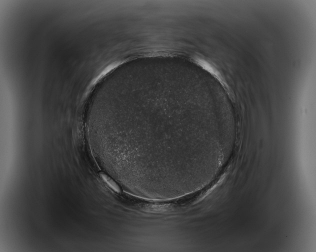 X0000085781453200703231235