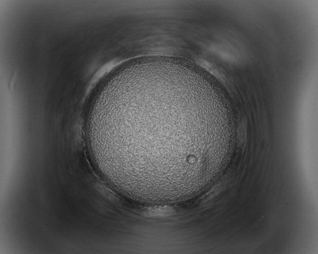 X0000085781454200703231235