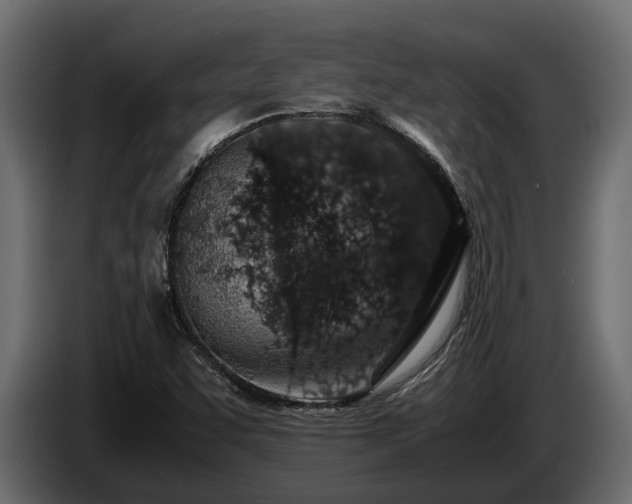 X0000085781455200703231235