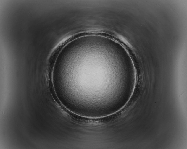 X0000085781456200703231235