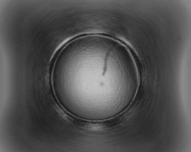 X0000085781460200703231235