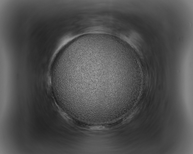 X0000085781462200703231235