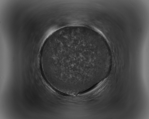 X0000085781463200703231235