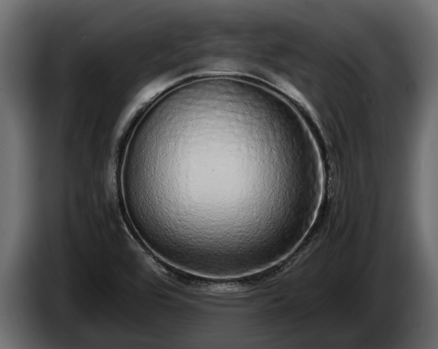 X0000085781464200703231235