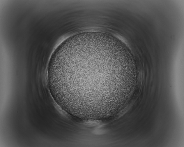 X0000085781466200703231235