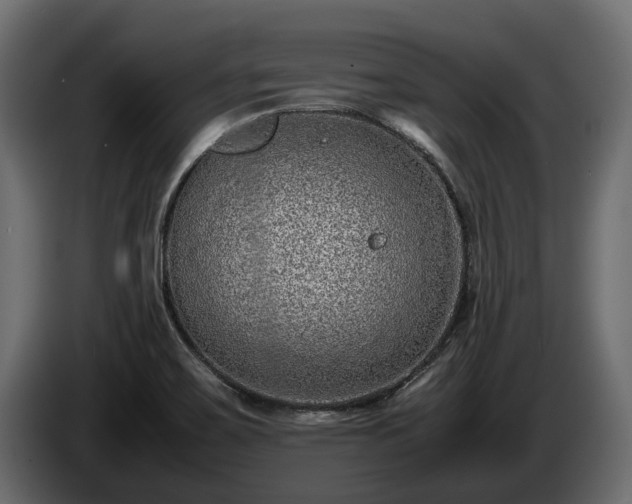 X0000085781467200703231235