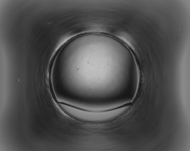 X0000085781468200703231235