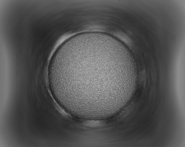 X0000085781470200703231235