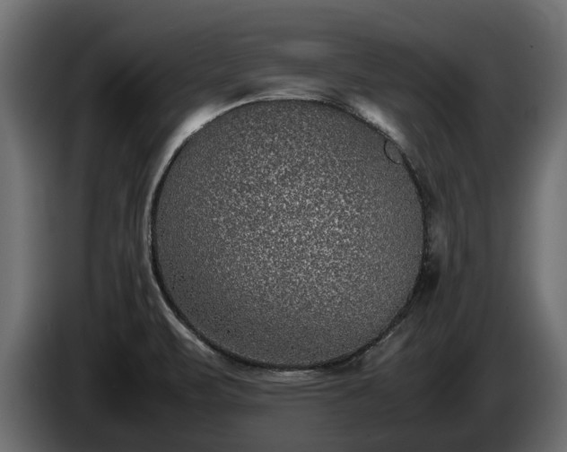 X0000085781471200703231235