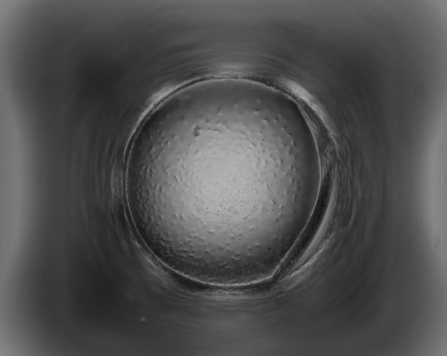 X0000085781473200703231234