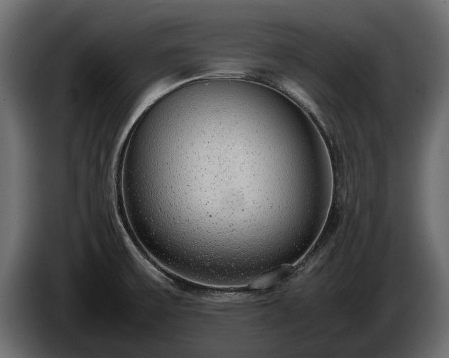 X0000085781475200703231234