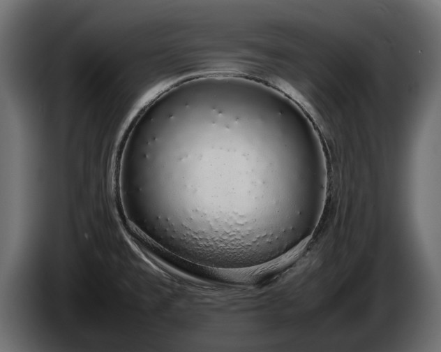 X0000085781477200703231234