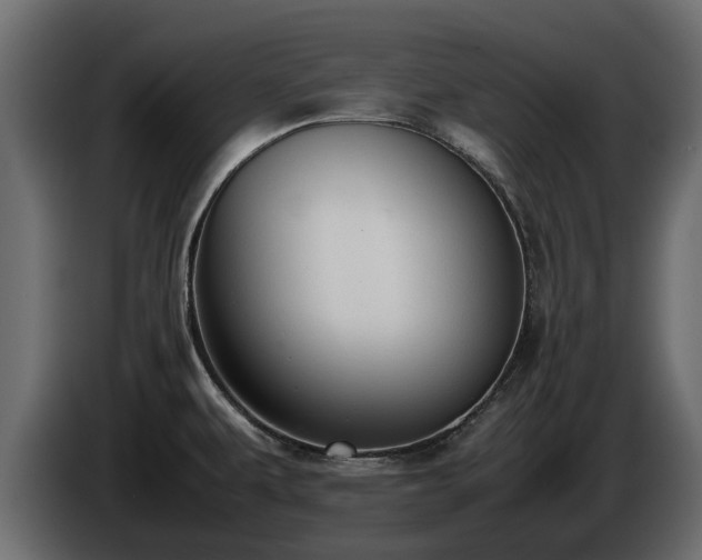 X0000085781479200703231234