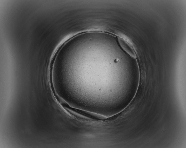 X0000085781480200703231234