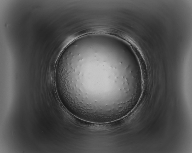 X0000085781481200703231234