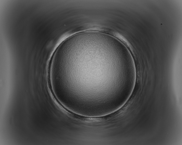 X0000085781483200703231234