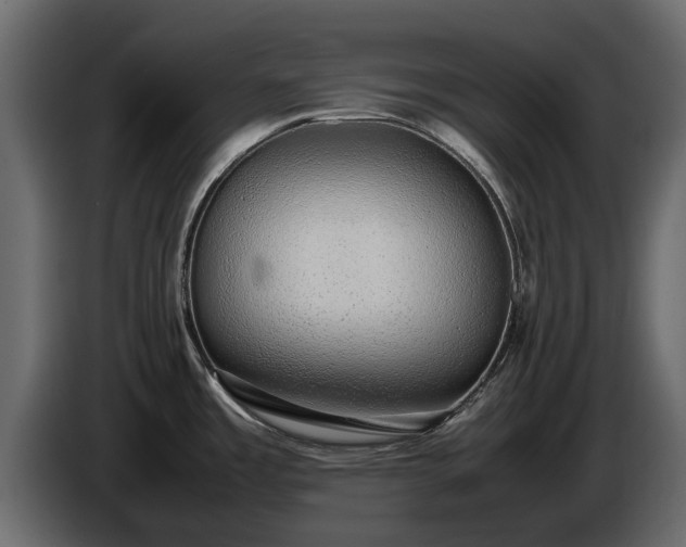 X0000085781485200703231234