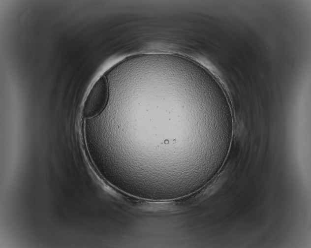 X0000085781486200703231234