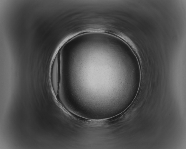 X0000085781488200703231234