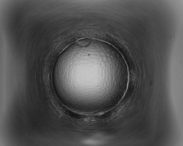 X0000085781489200703231234