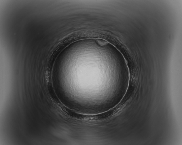 X0000085781490200703231234