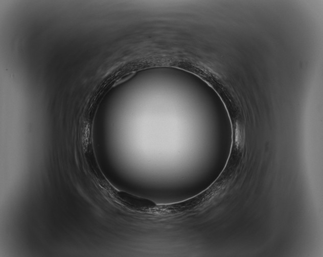 X0000085781492200703231234