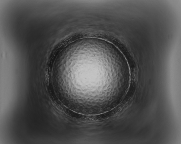 X0000085781493200703231234