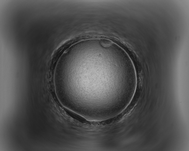 X0000085781494200703231234