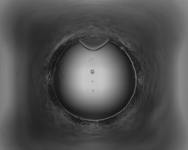 X0000085781495200703231234