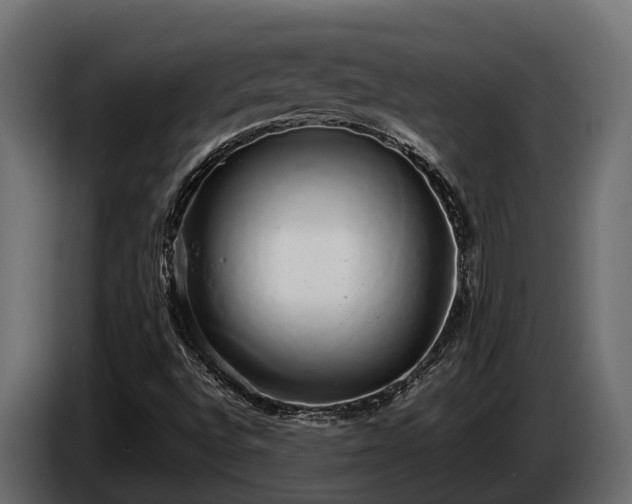 X0000085781496200703231234