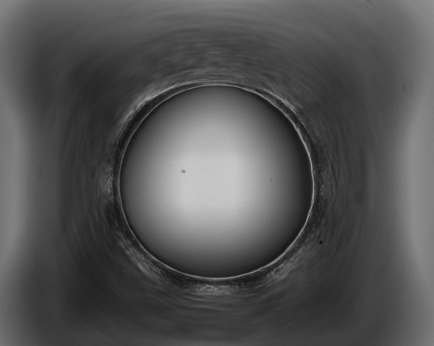 X0000085781499200703231234